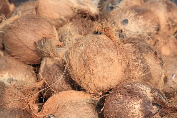 Droge kokosnoot schelpen op Marktplaats — Stockfoto