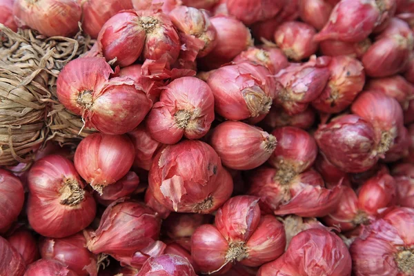 Red onions in Thai market — Stock Photo, Image