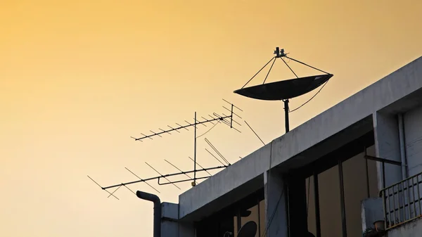 Satellite dish and old fishbone tv antenna — Stock Photo, Image