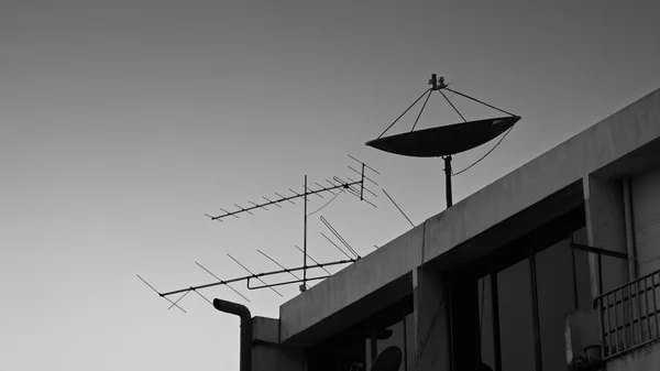 Satellite dish and old fishbone tv antenna