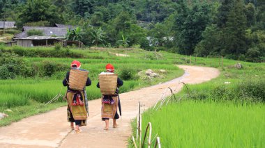 sapa kırmızı dao hilltribe kadınlar