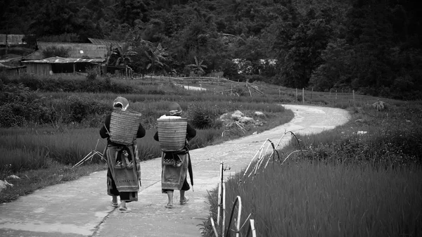 Hilltribe women walking to Red Dao village — Stock Photo, Image