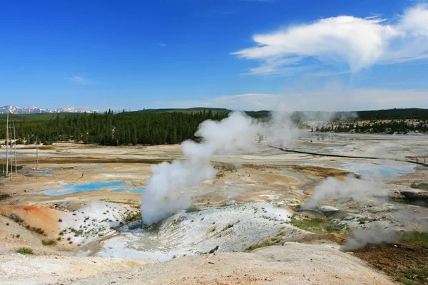 Στον ατμό των geysers Νόρις της υδρολογικής λεκάνης στην yellowstone — Φωτογραφία Αρχείου