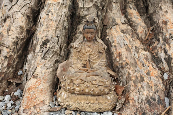 Estátua do deus Guanyin localizada sob a árvore Bodhi — Fotografia de Stock
