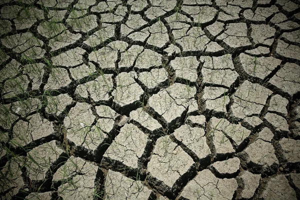 Textured pattern of a cracked earth — Stock Photo, Image