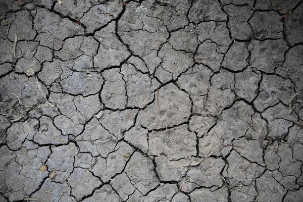 Sprucken jord texturerat bakgrund — Stockfoto
