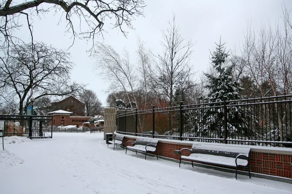 Lincoln Park ze śniegu w zimie — Zdjęcie stockowe