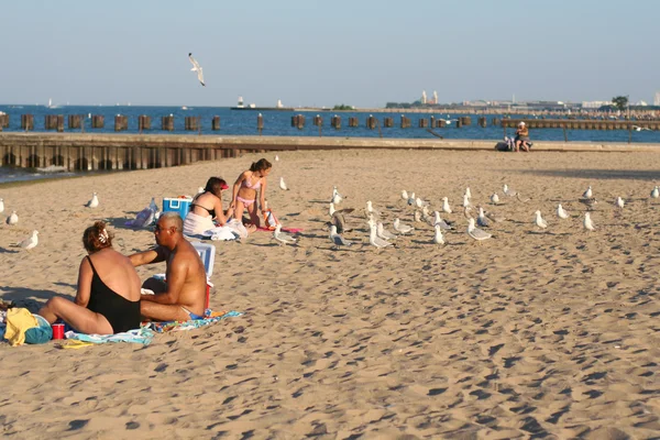 La gente se relaja en la playa de Chicago — Foto de Stock