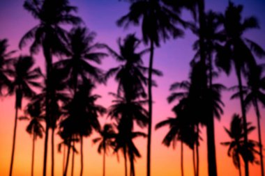 Alacakaranlıkta, Tayland, renkli alacakaranlık gökyüzü ile tropikal plajda bulunan siluet palmiye veya hindistan cevizi ağaçlarının bulanık arka planı. Yaz tatili ya da sıcak ülke kavramında tatilci..