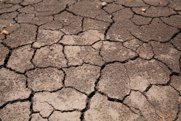 Dry cracked earth background — Stock Photo, Image