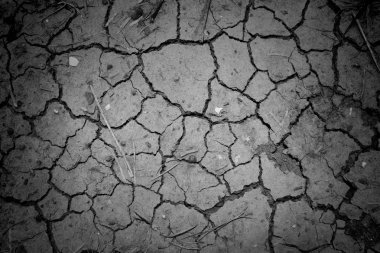 siyah ve beyaz arka plan için kırık toprak Kuru