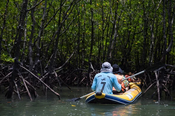 Marinero Piragüismo Para Llevar Los Turistas Visitar Laguna Bosque Manglares —  Fotos de Stock