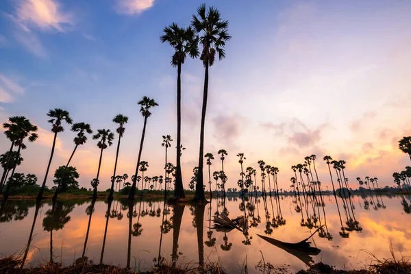 Alacakaranlık Silueti Birikintisine Yansıyan Şeker Palmiye Ağaçları Dongtan Sam Khok — Stok fotoğraf