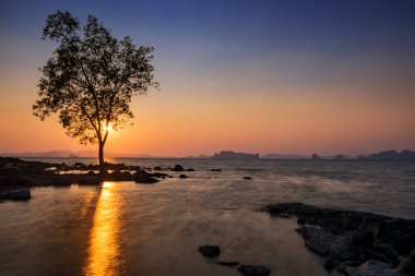 Siluet ağacı ve hareketli deniz manzarası gün batımında Tayland, Krabi 'deki Koh Kwang adasının açık gölgesiyle birlikte. Tropikal bir ülke olan Siyam 'da yaz tatilinde ünlü bir tatil beldesi.