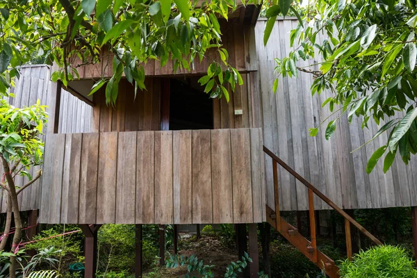 Tradicional Casa Tailandesa Madera Decorada Con Diseño Moderno Entorno Jardín —  Fotos de Stock