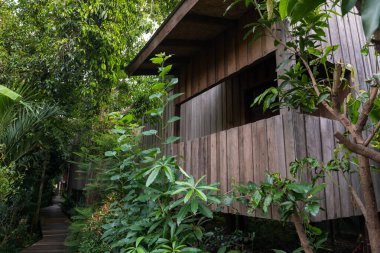 Ahşap Tayland evi, modern tasarım, yeşil bahçe ortamı..