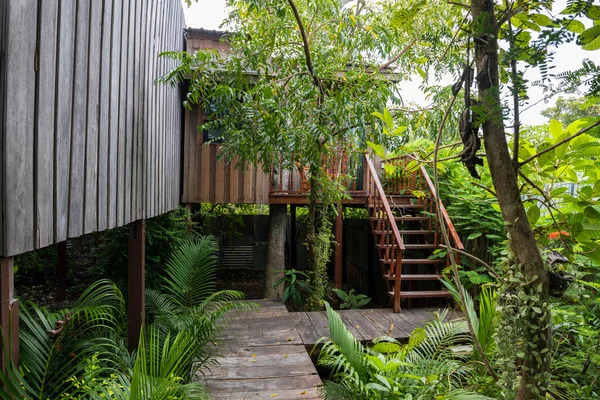 Casa Tradicional Tailandesa Madera Diseño Moderno Con Jardín Verde —  Fotos de Stock