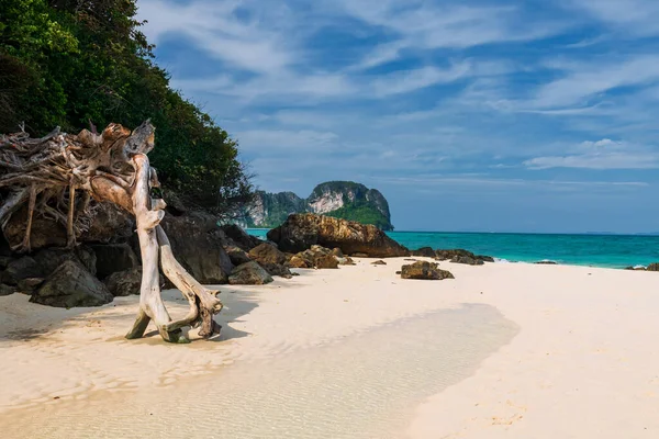 Schöner Weißer Sandstrand Mit Abgebrochenem Baum Strandkorb Türkisfarbenem Andamanenmeer Blauem — Stockfoto