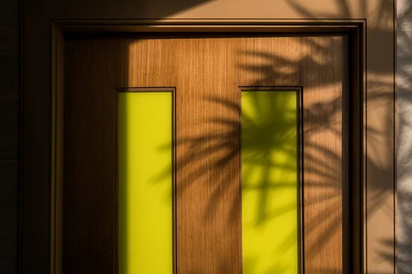 Ξύλινη Πόρτα Σκιές Φύλλων Μοντέρνος Σχεδιασμός Διακόσμησης Φυσικό Φως Ηλιοβασιλέματος — Φωτογραφία Αρχείου