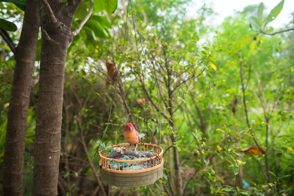 Falsi Uccelli Pappagallo Appesi All Albero Giardino Decorazione Domestica — Foto Stock