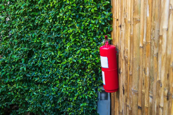 Fire Extinguisher Bamboo Wall Green Foliage Tree — Stock Photo, Image