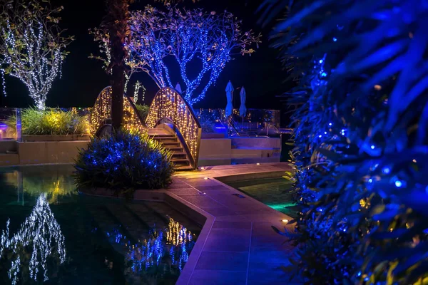 Illuminare Arredamento Sul Ponte Gli Alberi Notte Piscina Design Esterno — Foto Stock