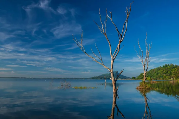 Dead Trees Bang Phra Reservoir Skyline Reflection Water Blue Sky — Photo