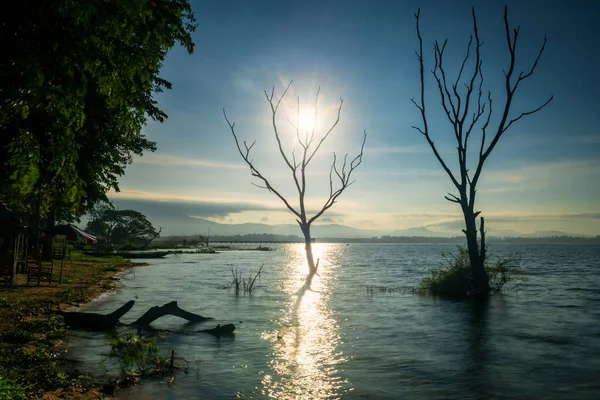 Silhouette Morte Arbres Sur Réservoir Bang Phra Avec Réflexion Skyline — Photo