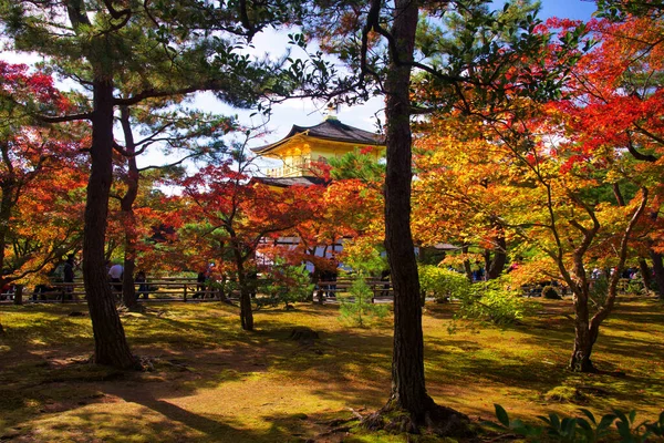 金閣寺の黄金亭と太陽の光に触れる紅葉の色とりどりの庭園 関西の有名な旅行先や休日のメーカー — ストック写真