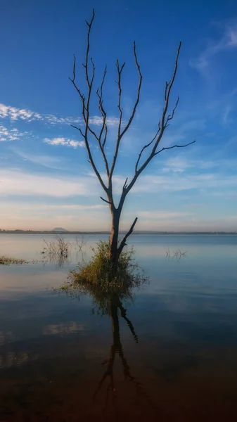 Vertical Landscape Dead Trees Bang Phra Reservoir Water Blue Sky — Fotografia de Stock