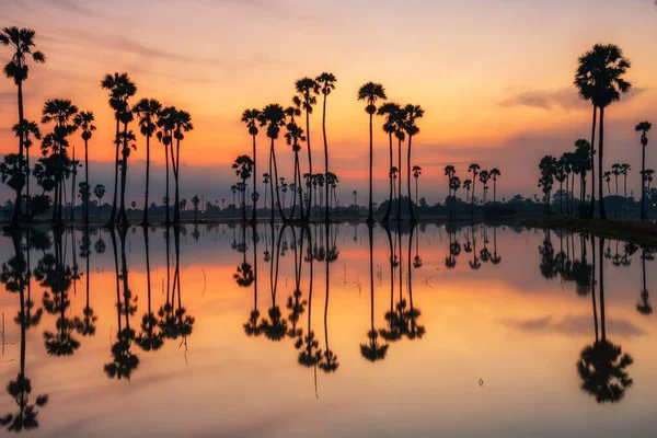 Şafak Vakti Alacakaranlık Gökyüzü Dongtan Sam Khok Tayland Pathum Thani — Stok fotoğraf