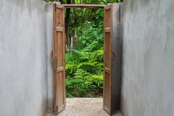 Porta Legno Aperta Alla Pianta Verde Naturale Caffè All Aperto — Foto Stock