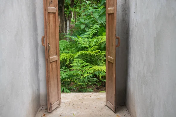 自然緑の植物への木製のドアを開く方法です トロピカルファームスタイルの屋外コーヒーショップカフェ — ストック写真