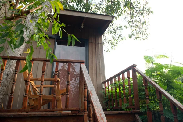 Yeşil doğal çevreye sahip modern ahşap evdeki koltuklar. Baharda ağaçla çevrili ev dekorasyonu.