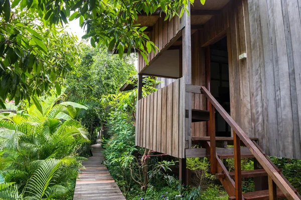 Modern Thai Rumah Kayu Dan Trotoar Kayu Lingkungan Pohon Hijau — Stok Foto
