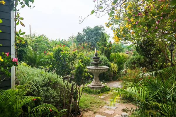 Belles Fleurs Colorées Fontaine Dans Jardin Printemps — Photo