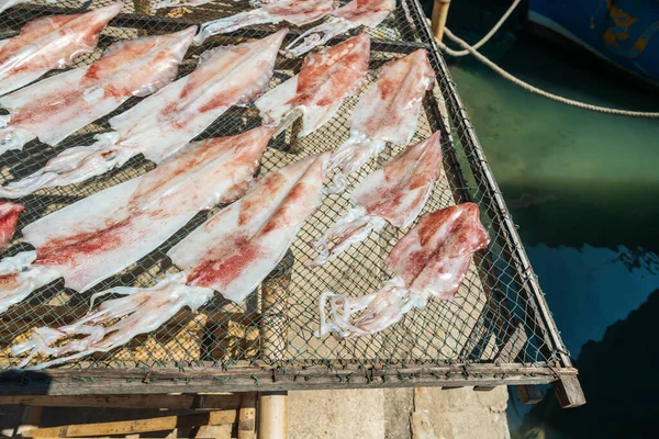 渔港附近的渔船附近 鱼网上新鲜的大章鱼或乌贼被阳光晒干 受保护的海鲜 — 图库照片