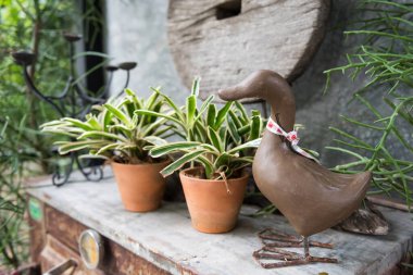 Fake duck decorated on table with flower pot in coffee shop and outdoor restaurant garden.