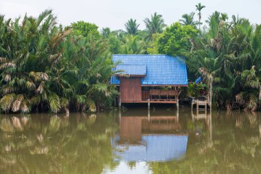Amphawa Bölgesi, Samut Songkhram, Tayland 'da Nipa palmiyelerinin nehir kenarında büyüdüğü geleneksel Tayland ahşap evi..