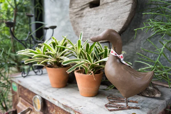 咖啡店和室外餐馆花园的桌上装饰着花盆的假鸭 — 图库照片