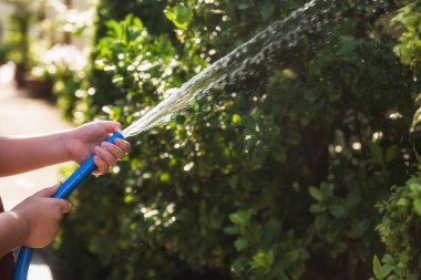 Çocuk evin etrafındaki yeşil ağaçlara lastik boruyla su püskürtüyor. Gün batımında yapraklar dökülüyor. Çocukların ev işleri.