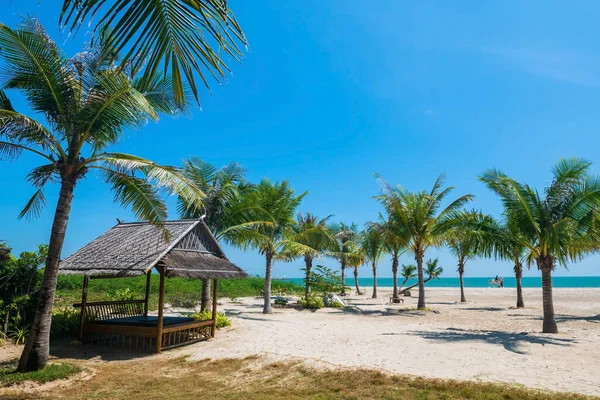 Relax Cabin Surrounding Coconut Trees Cha Beach Blue Sky Phetchaburi — Stock Photo, Image