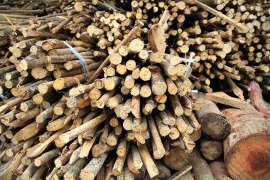 Pile of chopped wood for fire or construction. Industry tool object
