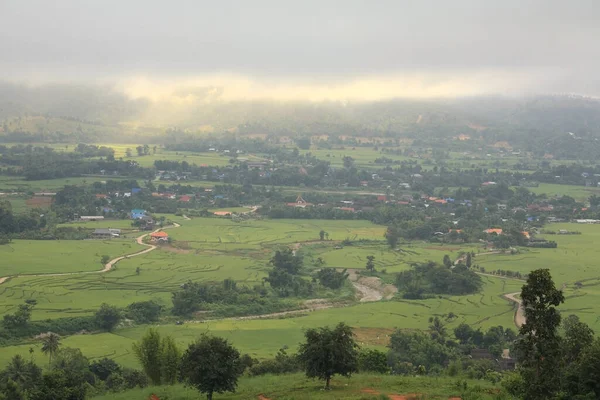 Вид Воздуха Красивую Зеленую Террасу Рисового Поля Город Районе Mae — стоковое фото