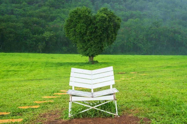 White wooden chair for couple and green tree with blur heart shape and heavy raindrop in rainy season in park