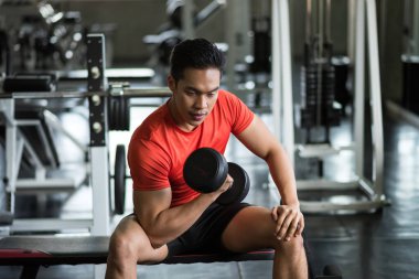 Strong Asian muscle man sit and exercise biceps with heavy dumbbells in fitness gym. Muscular body sportsman. Bodybuilding and healthy sport lifestyle concept.