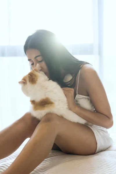 Beautiful sexy Asian woman in pajama hold and kiss her yellow Exotic shorthair cat on bed with natural sunset light by window.