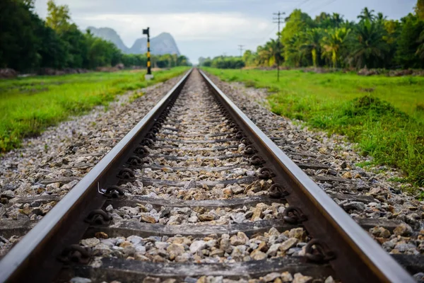 泰国苏拉特 一条带有模糊棕榈树农场和高山的单线直达铁路 交通和度假标志 对铁路的选择性关注 — 图库照片