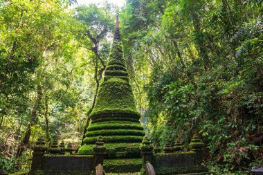 Eski pagoda, Tayland, Chanthaburi 'deki Phlio Şelalesi Ulusal Parkı' na yosun ile bağlanmış. Siyam ya da Tayland 'ın doğusunda ünlü bir seyahat yeri..