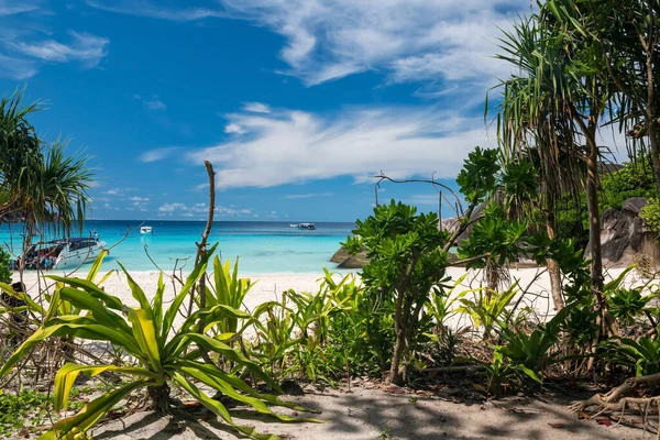 热带植物在象兰海岸与碧绿的海 夏天的白云相映成趣 泰国的张恩加 暹罗南部著名的夏季旅游目的地或度假 — 图库照片